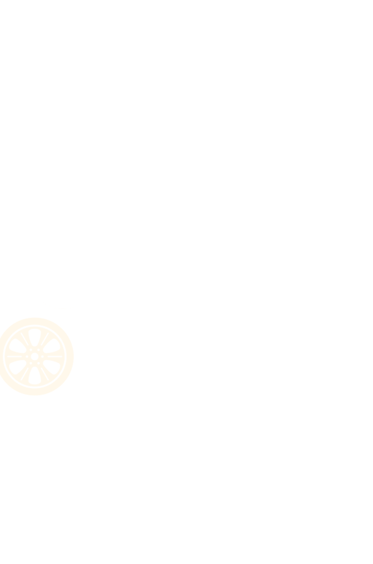 CarPoint-White Logo